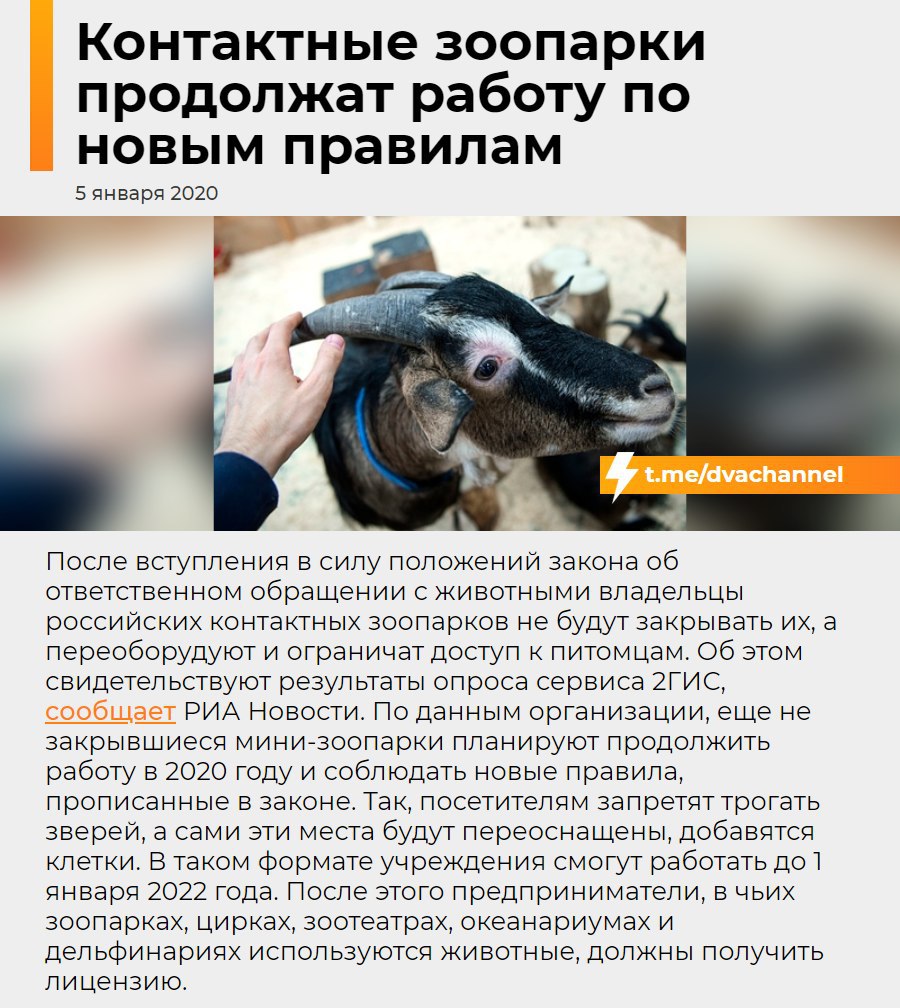 Контактные зоопарки продолжат работу по новым правилам